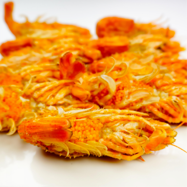 러시아 곰새우 500g 내외