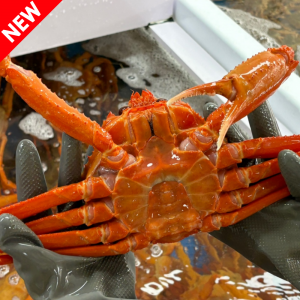 생물 러시아 대왕 홍게 1kg